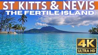 St Kitts & Nevis TRAVEL GUIDE 2024 4K