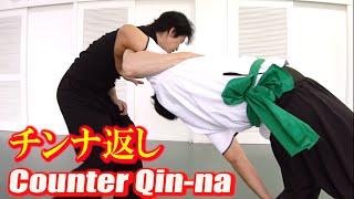 【Kung-fu】Counter Qin-na ! 【Tamotsu Miyahira】