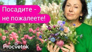 5 ЦВЕТОВ, КОТОРЫЕ ОБЯЗАТЕЛЬНО ДОЛЖНЫ РАСТИ В КАЖДОМ САДУ!