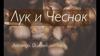 Лук и Чеснок. Аюрведа. Основы.