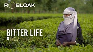 The Human Cost of Tea: India's Exploited Plantation Workers.