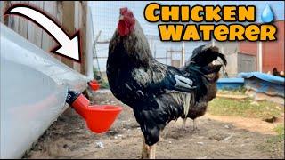 New Automatic Chicken Watering System is a Game Changer!