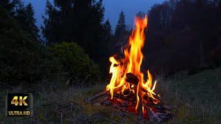 Relaxing Campfire in the Gentle Rain in 4K UltraHD | 4 Hours of Campfire and Rain at Night