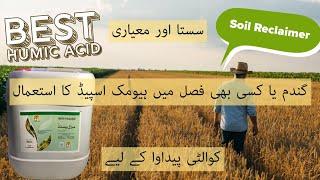 Meri pasand best liquid humic acid with potassium for wheat crop and other crops usages and benefits