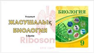 9-сынып Жасушалық биология | 1-бөлім | Ribosome.kz | Ерік Әділ
