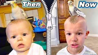 Recreating Old Baby Pictures With The Tannerites!