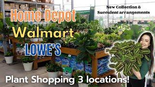 Big Box Shop Plant Shop with me! I went to 3 locations! New leafjoy Collection