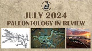 New Fossils from July 2024