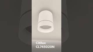 Накладной светильник Citilux Борн CL745020N