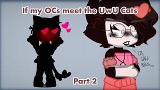 My OCS Meet the UwU Cats (2/2) | GC | ️TW️