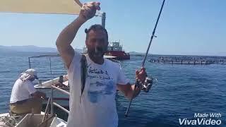 ÇİPURA AVI AVLAK YERİ ON NUMARA AV BAŞLASIN