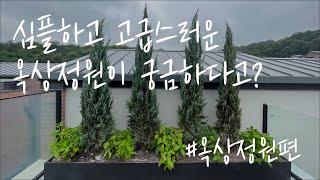 블루엔젤과 수국으로 옥상정원 만들기, 어렵지 않아요!