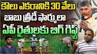 కౌలు ఎకరానికి 30 వేలు..బాబు త్రీడీ ఫార్ములా  | CM Chandrababu Gift to AndhraPradesh Farmers | WWT