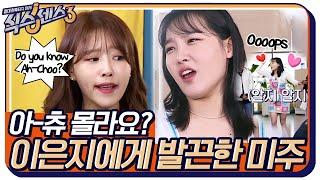미투 씽얼!!!! Ah-Choo u know?!!!! 이은지의 답변에 미주 발끈!  #식스센스3 EP.7 | tvN 220429 방송