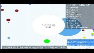Petridish "Было легко -_-"