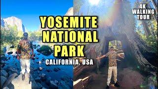 Hiking Yosemite National Park | Full 4K Tour | California, USA