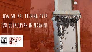 22 Million Bees Sent to Ukrainian Beekeepers!