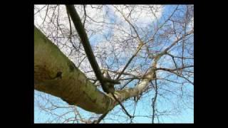 images de la nature