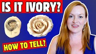 How to Identify Ivory - How to Tell The Difference Between Ivory and Bone