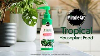 How To Use Miracle-Gro® Tropical Houseplant Food