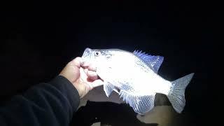 BANK OPEN AFTER DARK, CRAPPIE!!