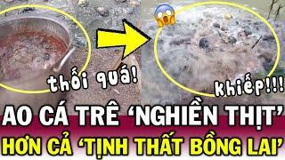 Đàn cá trê KHỦNG điên cuồng XÂU XÉ hàng chục ký THỊT THỐI, khiến CĐM sợ TÁI MẶT | Tin Việt Độc Lạ