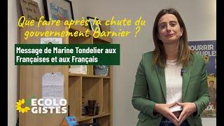 Chute du gouvernement Barnier : message de Marine Tondelier aux Français·es