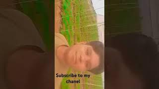 Farming Dinesh 