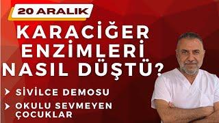 20 Aralık  SİVİLCE DEMOSU ~Okulu sevmeyen çocuklar ~ Karaciğer enzimleri nasıl düştü?