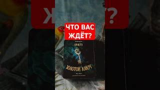  ЧТО ВАС ЖДЁТ Гадание на картах  #гадание #гаданиеонлайн #гаданиенабудущее