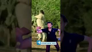 danludan обезьяна данлудан #danludan #данлудан