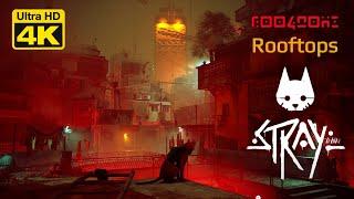 STRAY GAME WALKTHROUGH | CHAPTER 5 - ROOFTOPS | 4K60 UHD | GAMERS DIGEST