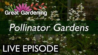 LIVE EPISODE: Pollinator Gardens