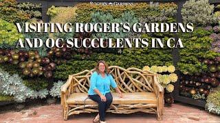 Succulent Nursery California:  Visiting Roger's Gardens and OC Succulents