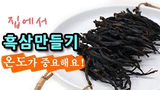 Making black ginseng at home. Black ginseng that's dozens of times more saponin than ginseng #289