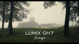 Lumix GH7 cinematic footage (solo camping in the forest)