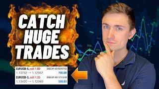 The Best Forex Trading Strategy: Forex Fundamental Analysis (For Beginners)