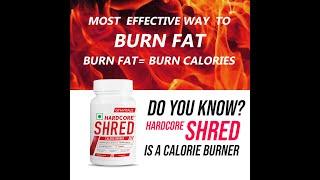 Best Fat Burner-Gymvitals Hardcore Shred Calorie Burner