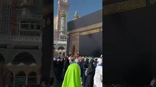 makka madina Allah|   #shorts #allah #makka #foryou #live  | MT4 Network
