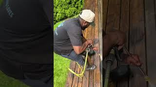 Deck Staining Service Preperation By Silverlight Windows and Eaves Cleaning