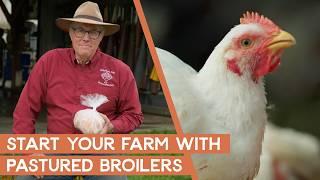 Why the pastured broiler is a great way to start out your farm | Joel Salatin