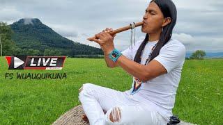 Flute Music For Meditation #livestream #subscribe #like #share #fabiansalazarwuauquikuna