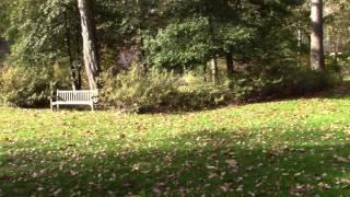 Leonard J. Buck Garden in October