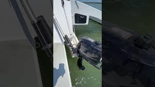 Salvaged 32’ Trimaran sailboat Bahamas bound!  #bahamas #6hp