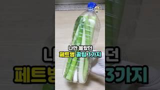 나만 몰랐던 페트병 꿀팁 3가지 #살림팁 #생활꿀팁 #꿀팁