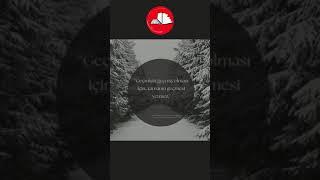 #fonmüziği #kitapözeti #güzelsözler #shorts #enstrümantalmüzik #kitapokumamüziği #dostoyevski