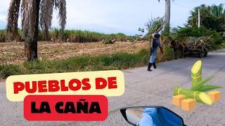 SAN JOAQUIN Y EL TIPLE  Cultivos de CAÑA de Azucar  Motovlog