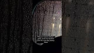 Ask. #shortvideo #viral #shortsfeed #short #shortsviral #shorts #inspirationalquotes #rumi