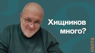 Хищников много? Валерий Кузенков об отстреле хищных птиц.