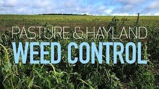 Pasture and Hayland Weed Control with Herbicides